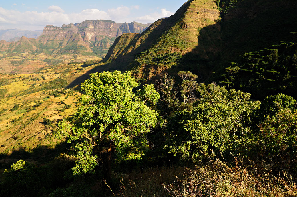 Contrefort des montagnes du Simien, Ethiopie