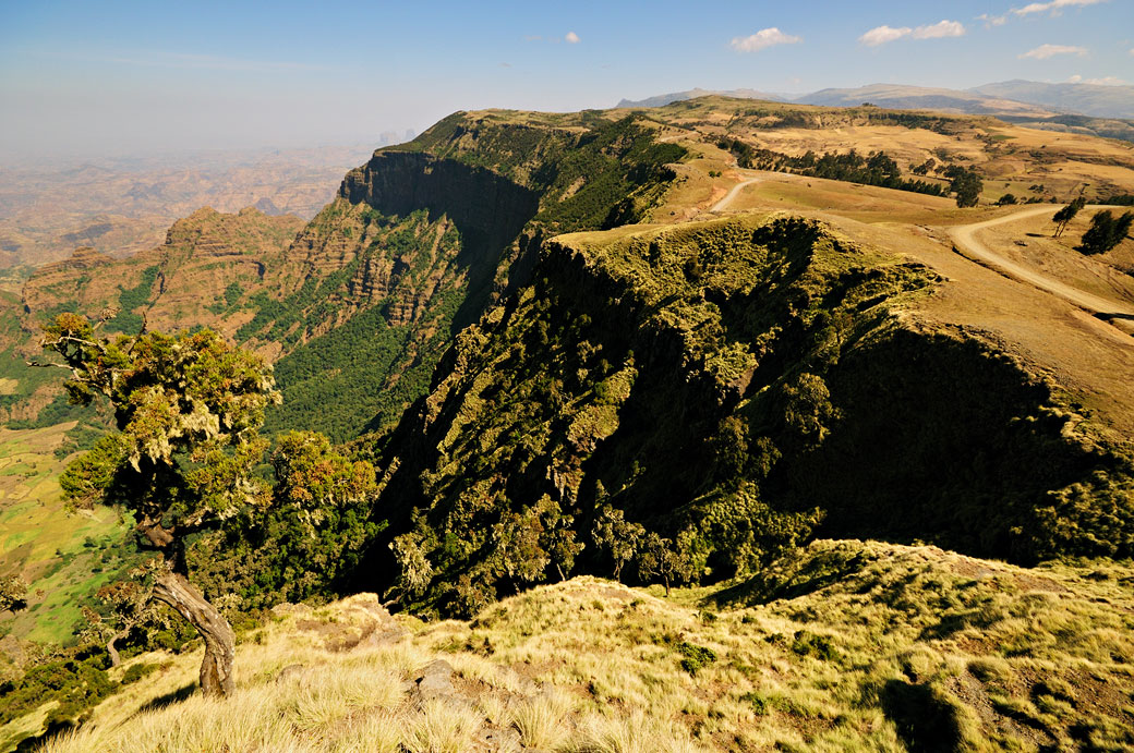 Plateau des montagnes du Simien, Ethiopie