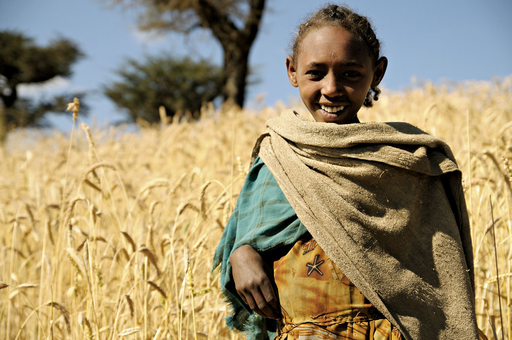 Jeune fille dans un champ de blé, Ethiopie
