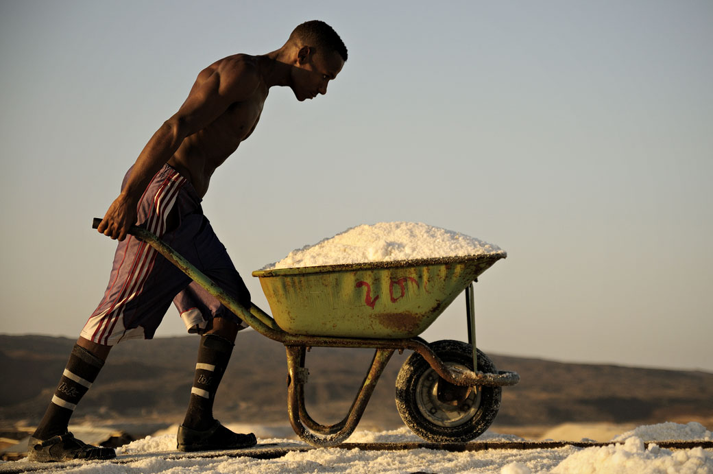 Homme musclé avec une brouette pleine de sel dans les salines d'Afdera