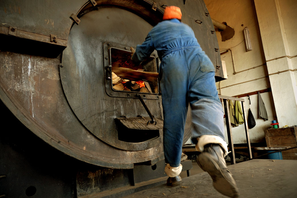 Chaudière à bois de l'usine de thé à Thyolo, Malawi