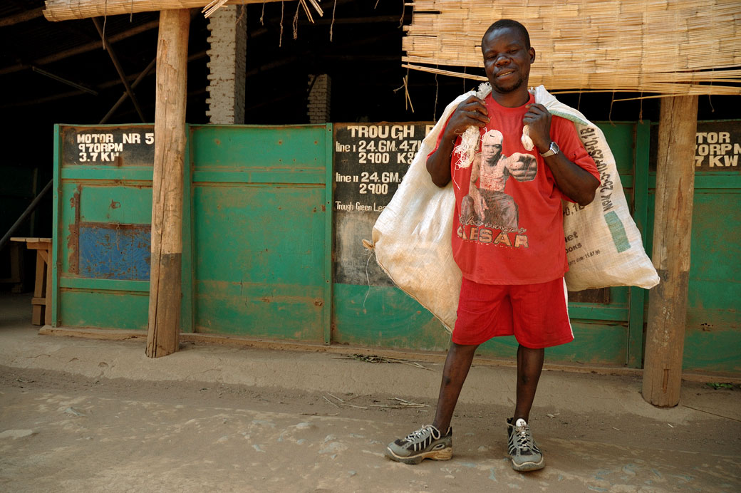 Homme qui porte des sacs dans l'usine de thé à Thyolo, Malawi