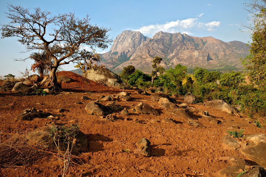 Massif du Mont Mulanje, Malawi