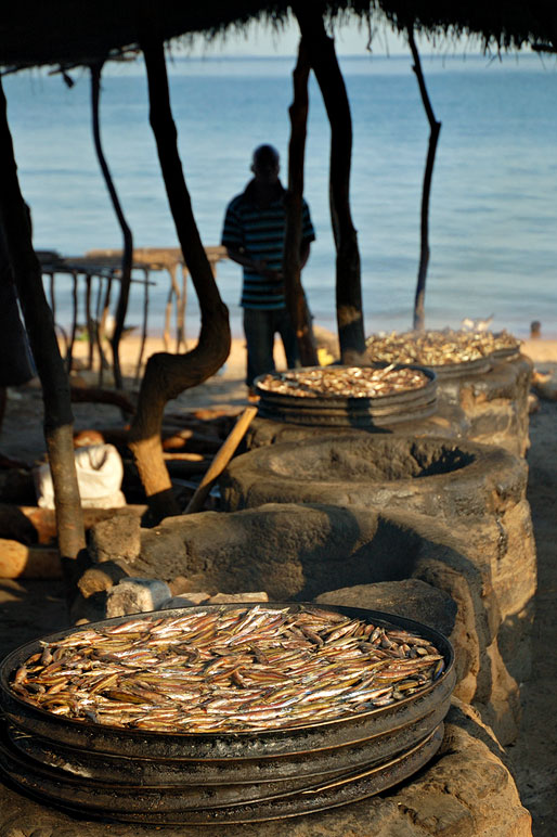 Séchage de poissons à Cape Maclear au bord du lac Malawi