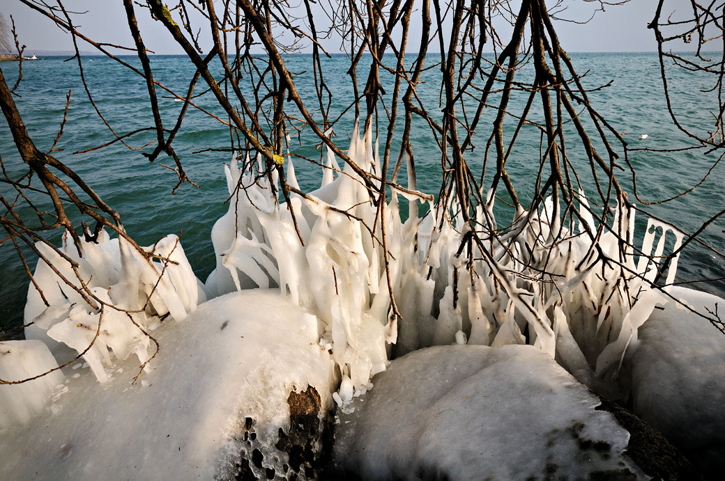 Branches pris dans la glace au bord du lac Léman, Suisse