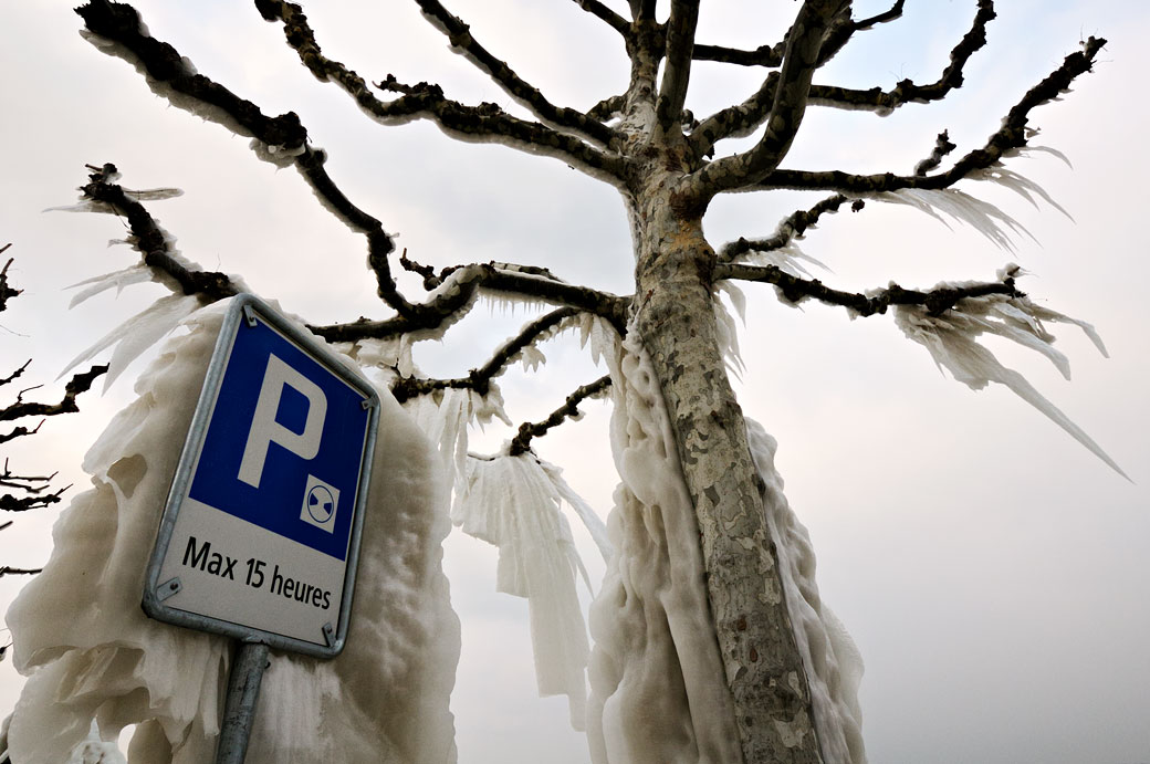 Panneau de parcage et arbre gelé à Versoix, Suisse