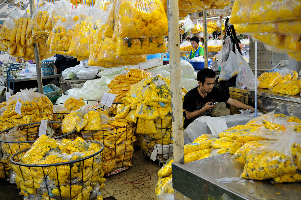 Fleurs jaunes au Pak Khlong Talat de Bangkok, Thaïlande