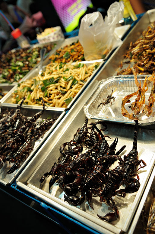 Scorpions et insectes grillés sur Khao San Road à Bangkok, Thaïlande