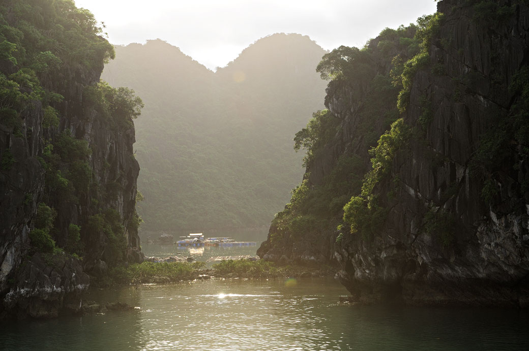 Îles de la baie d'Halong à contre-jour, Vietnam