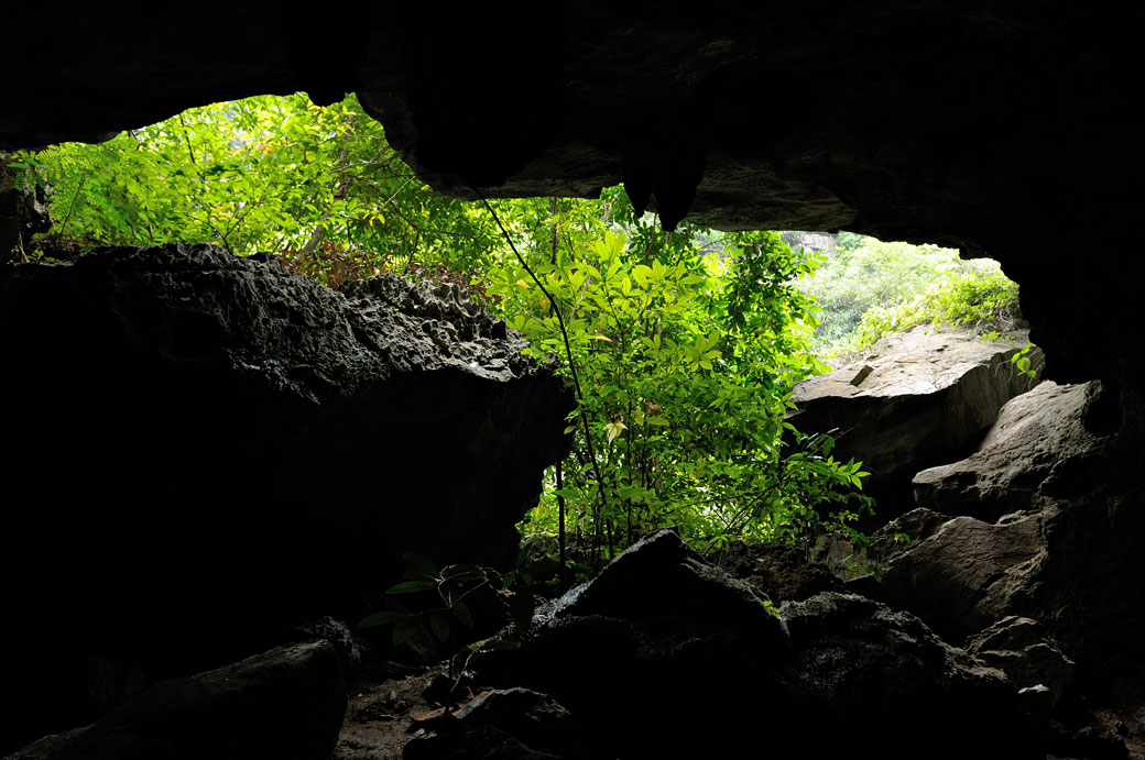 Grotte et végétation sur une île de la baie d'Halong, Vietnam