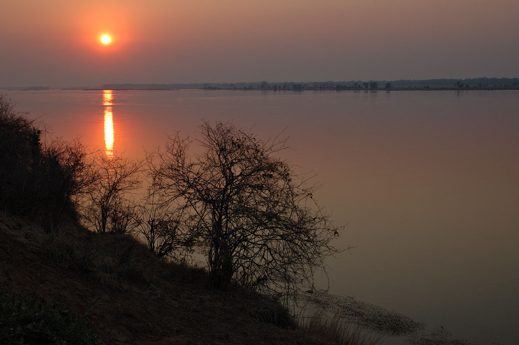 Lever de soleil sur le fleuve Zambèze, Zambie